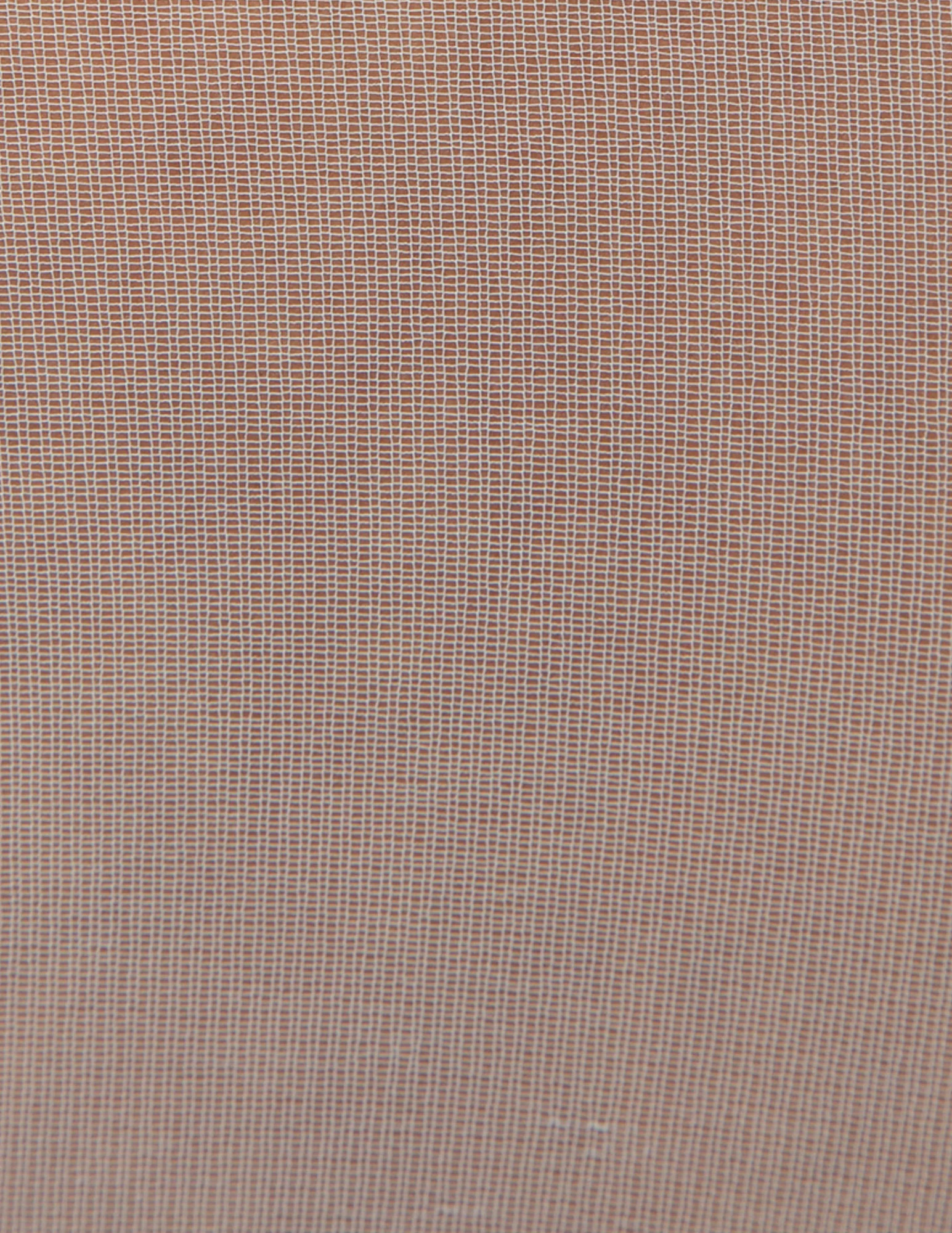 Sheer Tights with Control Top - Image 4
